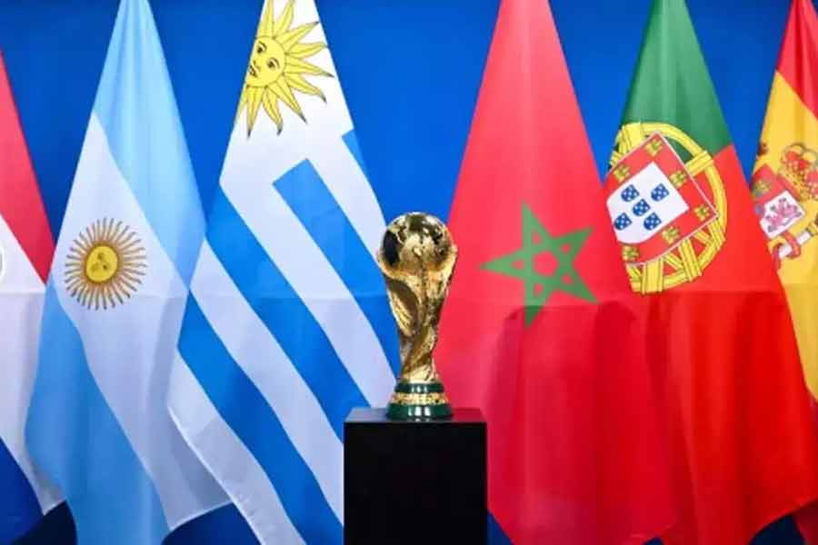 According to report Morocco plans to kill 30 lakh stray dogs before Fifa World Cup 2030