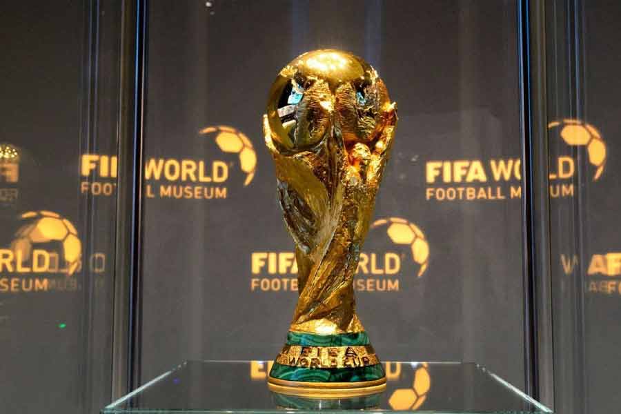 According to report Morocco plans to kill 30 lakh stray dogs before Fifa World Cup 2030