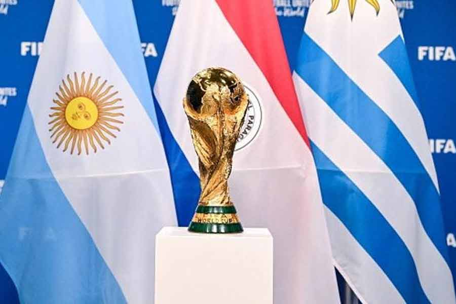 According to report Morocco plans to kill 30 lakh stray dogs before Fifa World Cup 2030