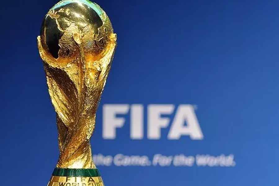 According to report Morocco plans to kill 30 lakh stray dogs before Fifa World Cup 2030