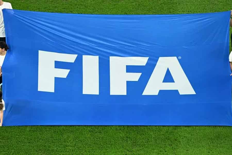 According to report Morocco plans to kill 30 lakh stray dogs before Fifa World Cup 2030