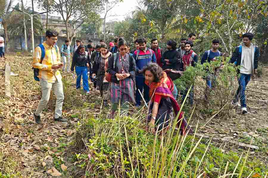 ‘সাস্টেইনেবল প্র্যাক্টিস’ কর্মশালা।