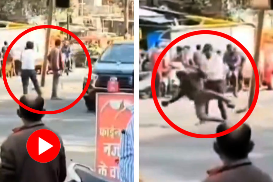 A video from Madhya Pradesh showing a traffic policeman argument with a man standing on road