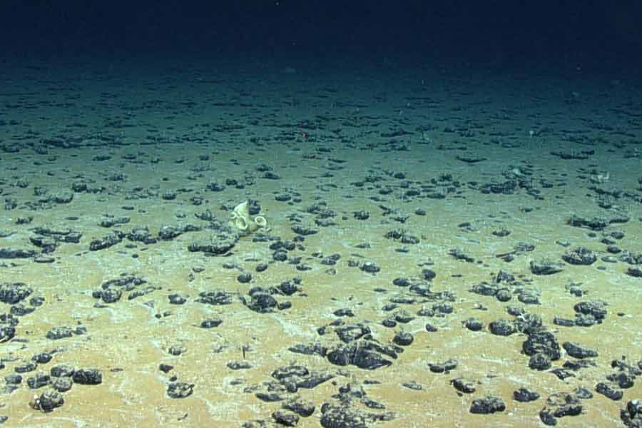 Million tons of rare mineral like nickel, cobalt discovered in japan that could make them billions