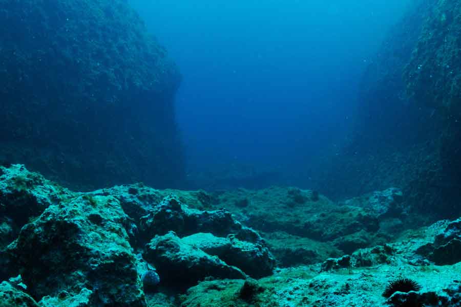 Million tons of rare mineral like nickel, cobalt discovered in japan that could make them billions