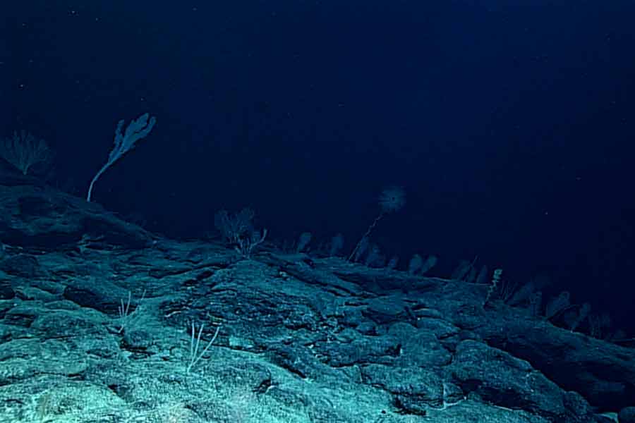 Million tons of rare mineral like nickel, cobalt discovered in japan that could make them billions