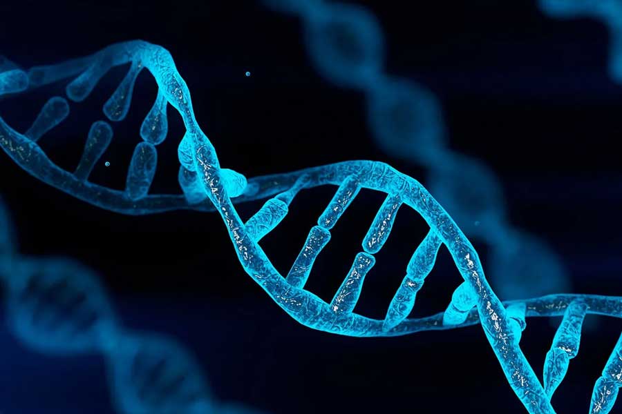 King of Pingelap Atoll Acts to Preserve Uninhabited Island as Rare Diseases Pass Through Generations