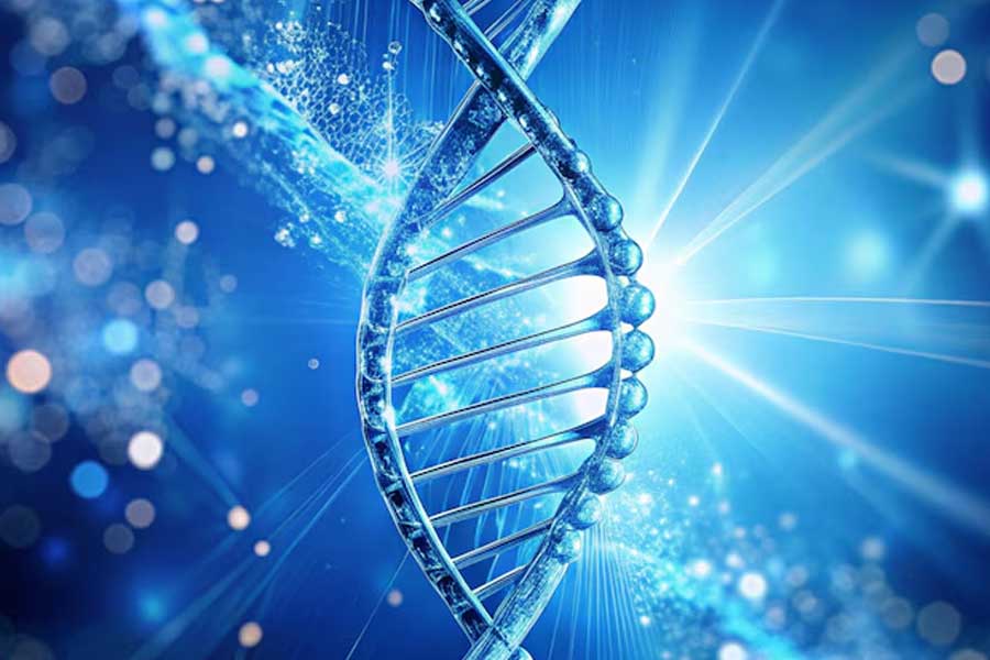 King of Pingelap Atoll Acts to Preserve Uninhabited Island as Rare Diseases Pass Through Generations