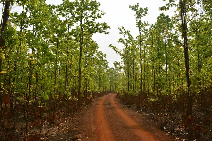 বাংলার গোপালপুরে কিসের টানে যাবেন পর্যটকেরা?