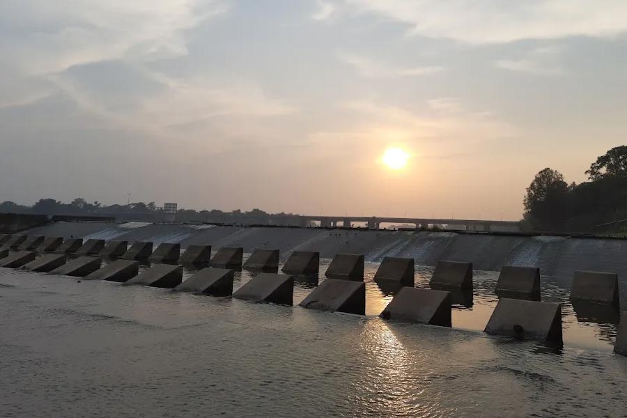 গোপালপুরের আশপাশে রয়েছে এমনই জঙ্গলের পথ।