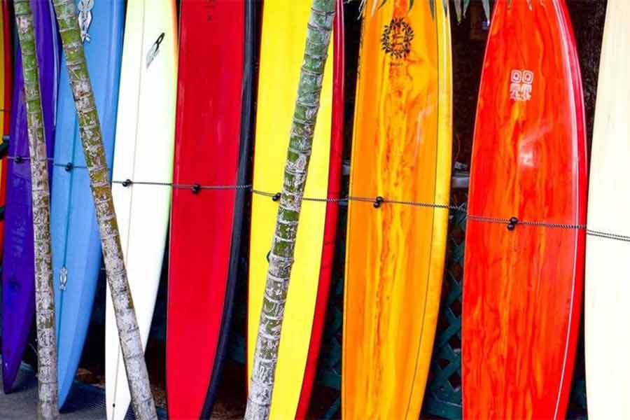 সার্ফিং বোর্ড।