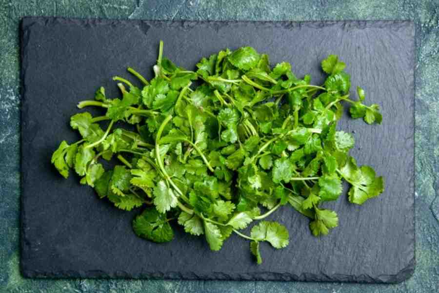 Which vitamin is rich in coriander leaves