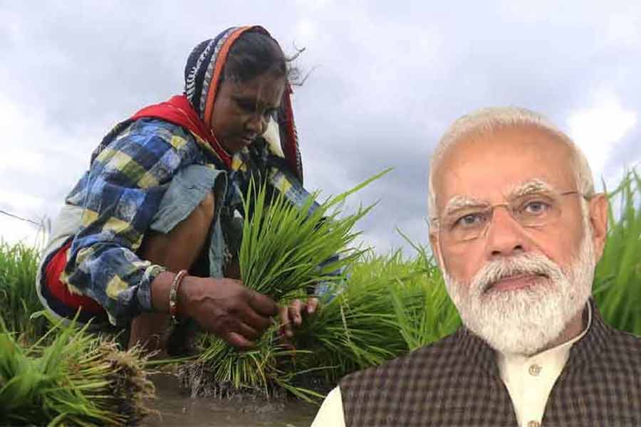 প্রজাতন্ত্র দিবসের অনুষ্ঠানে ১০ হাজার বিশেষ অতিথিকে আমন্ত্রণ জানানো হয়েছে।