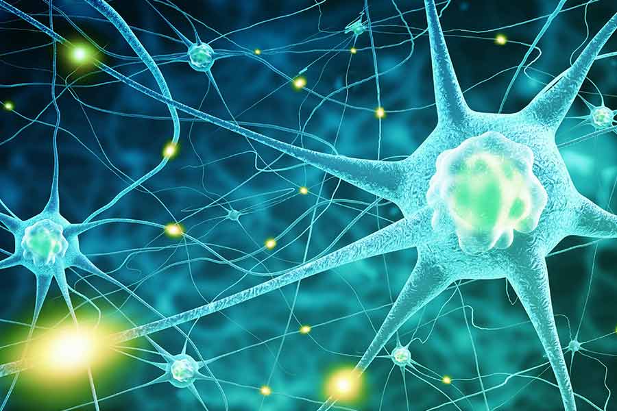 A rare neurological disease is spreading in Pune