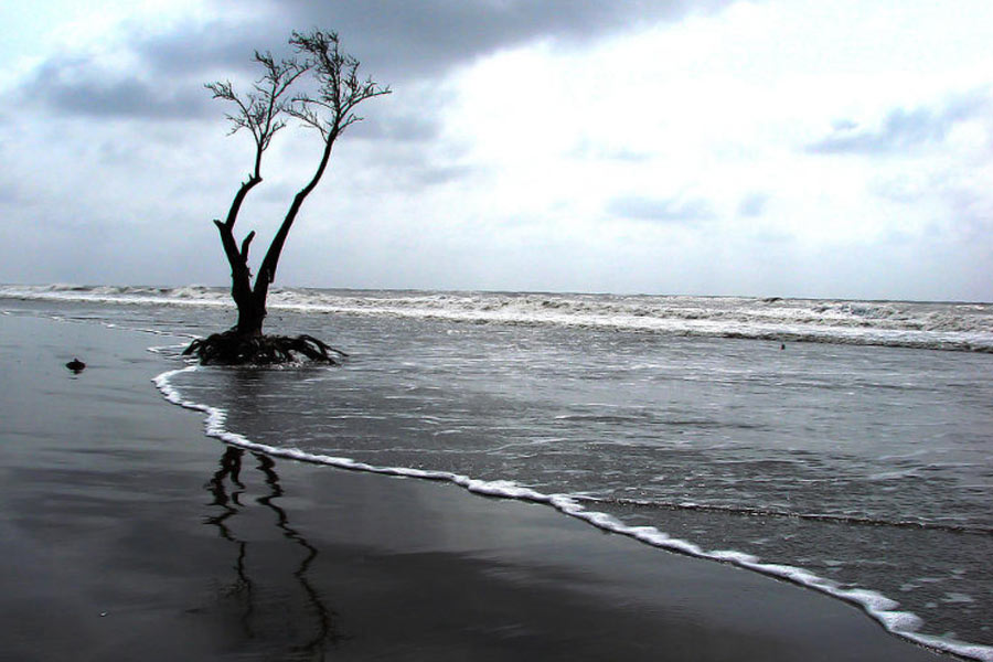 নির্জনতা, সবুজের সান্নিধ্য পেতে হলে বেছে নিতে পারেন হেনরি আইল্যান্ডও।