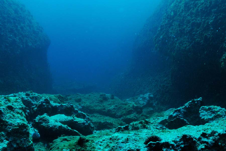 More than 100 times taller than Mount Everest, two peaks lie deep beneath the Earth's surface have been discovered