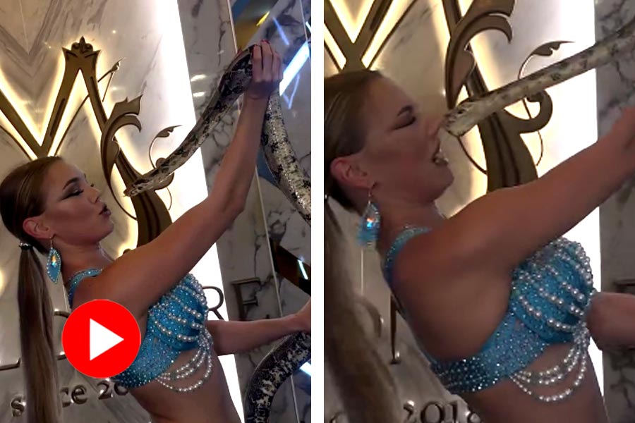 Viral video of a snake biting a Russian dancer on her face