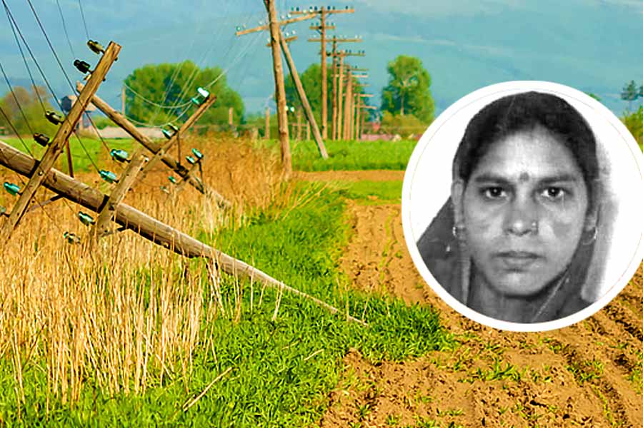 Women electrified to death in Kultali while working into field dgtld