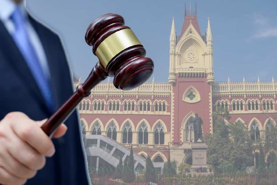 Supreme Court seeks report from Calcutta High Court on bail and anticipatory bail plea cases dgtl