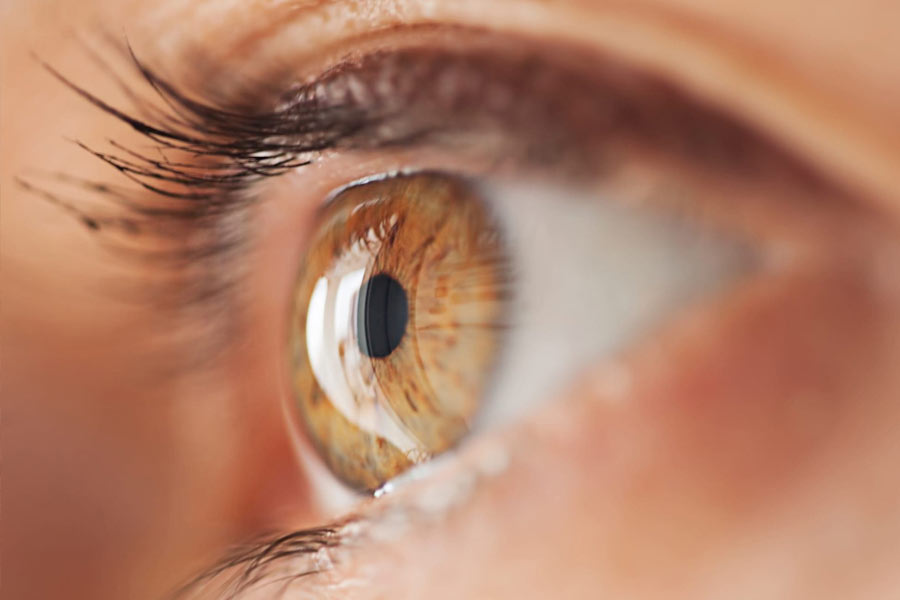 Who is baba vanga and what the Baba means in Baba Vanga means 