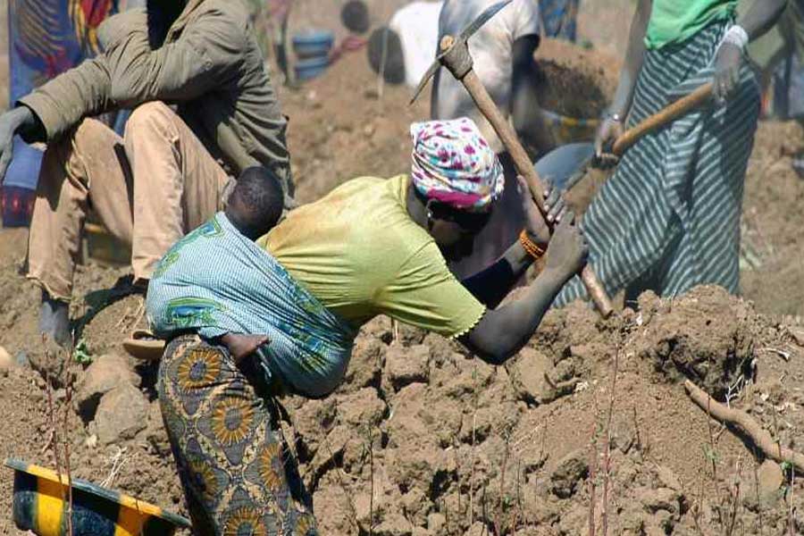 Illegal miners trapped inside abandoned gold mine in South Africa, start cannibalism to survive