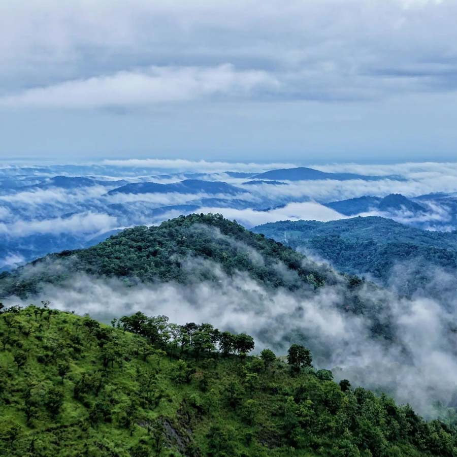 Kerala\\\'s Wayanad can be on your honeymoon destination instead of Goa and Kashmir