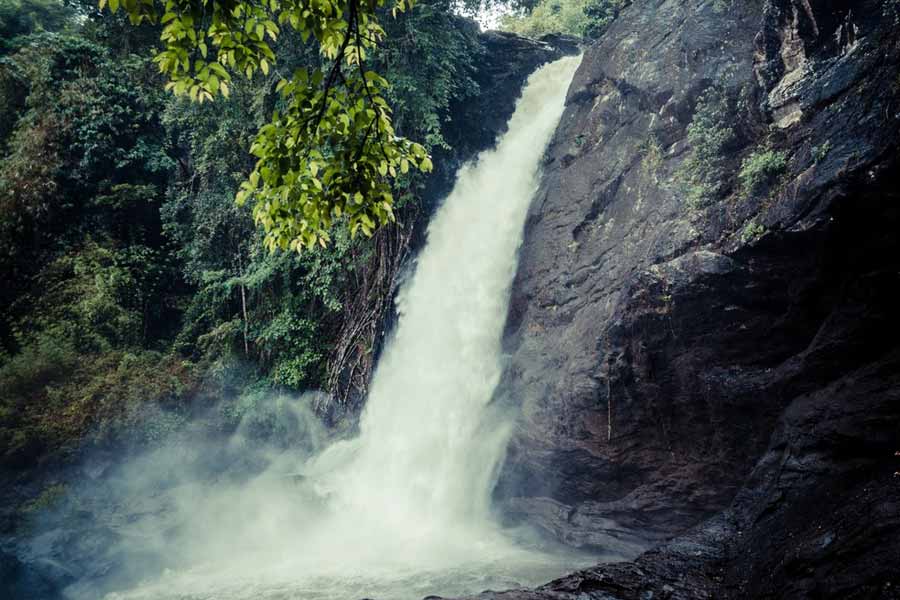 ওয়েনাড়ে রয়েছে সুচিপাড়া জলপ্রপাত।