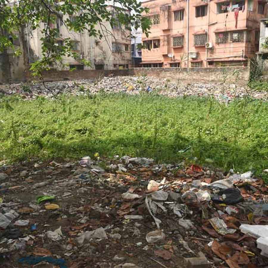 We need a non-partisan, environmentally conscious administration. West Bengal is currently far from that path