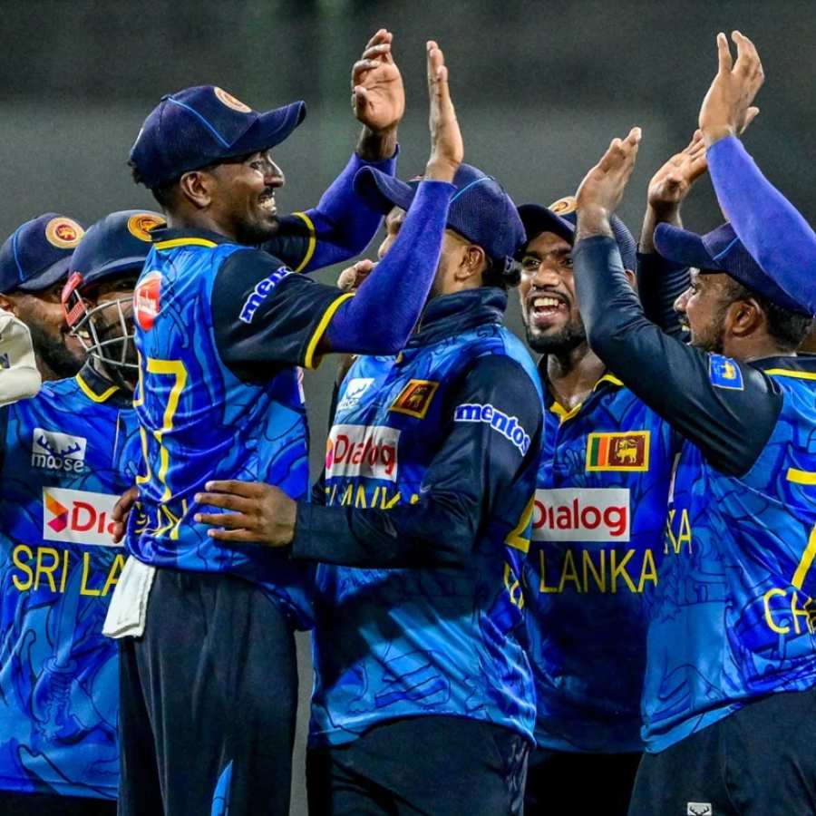picture of cricket