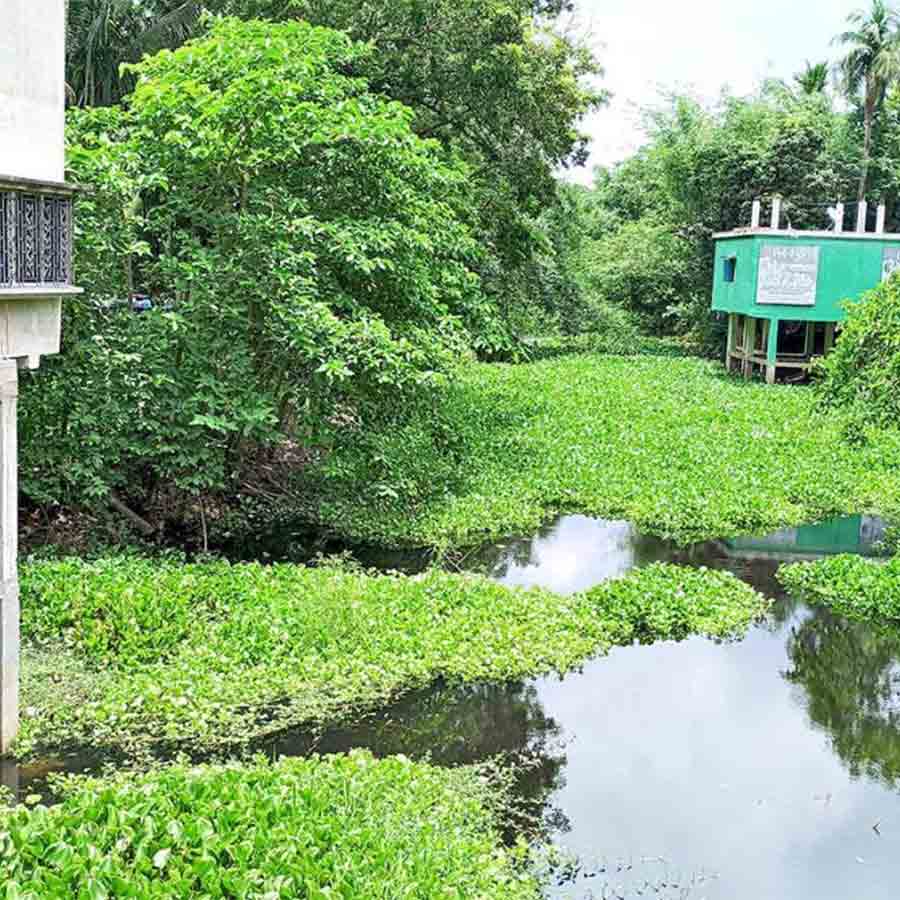 Illegal construction by blocking river reported at bangaon