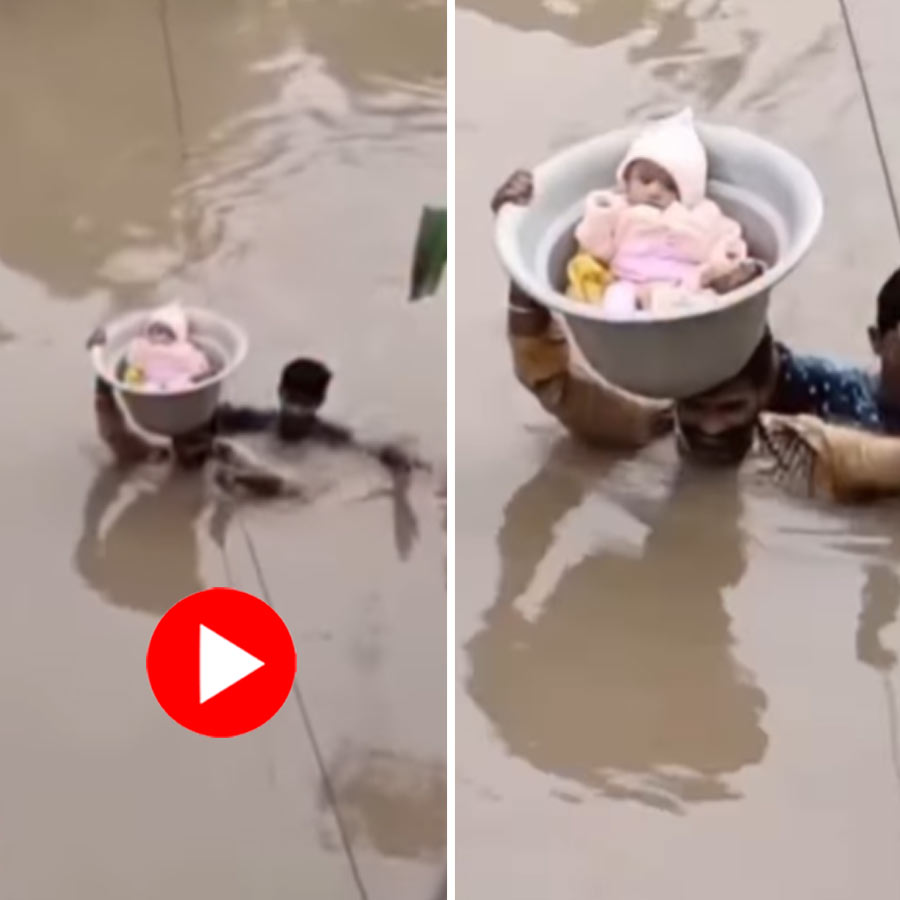 father who carries his baby in a bucket