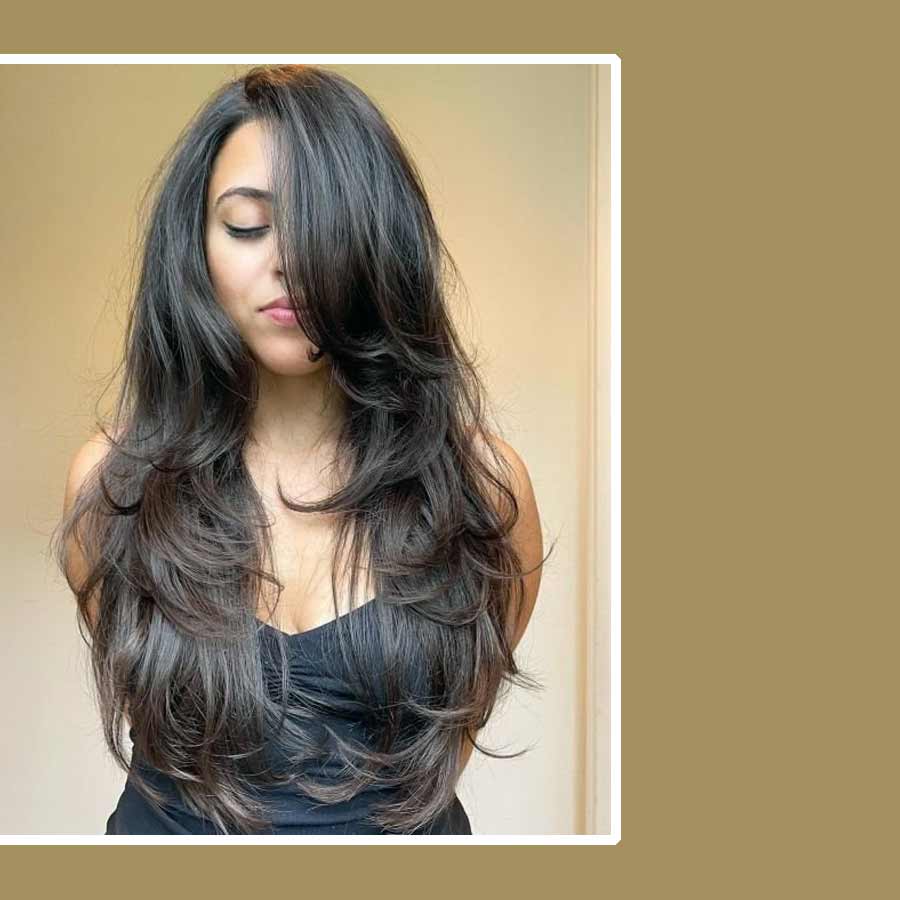  লং লেয়ারস।