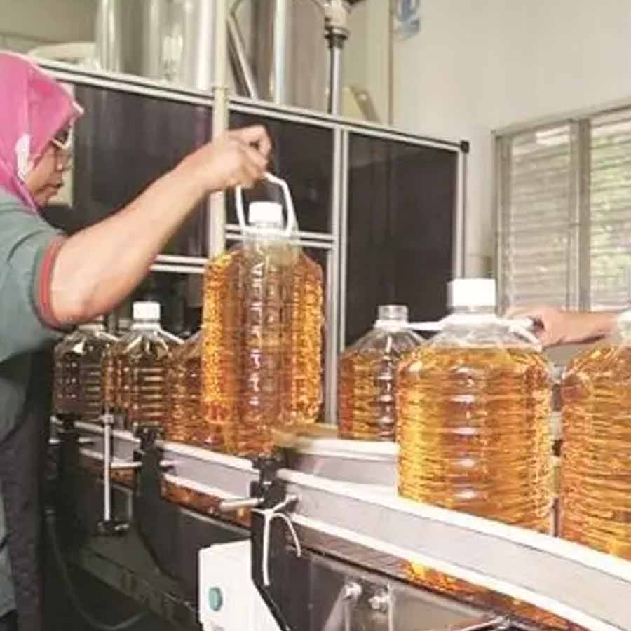 Oil palm farming expansion is a double-edged sword for presents of Telangana, know the reasons