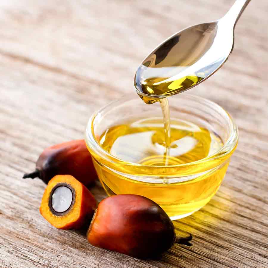 Oil palm farming expansion is a double-edged sword for presents of Telangana, know the reasons