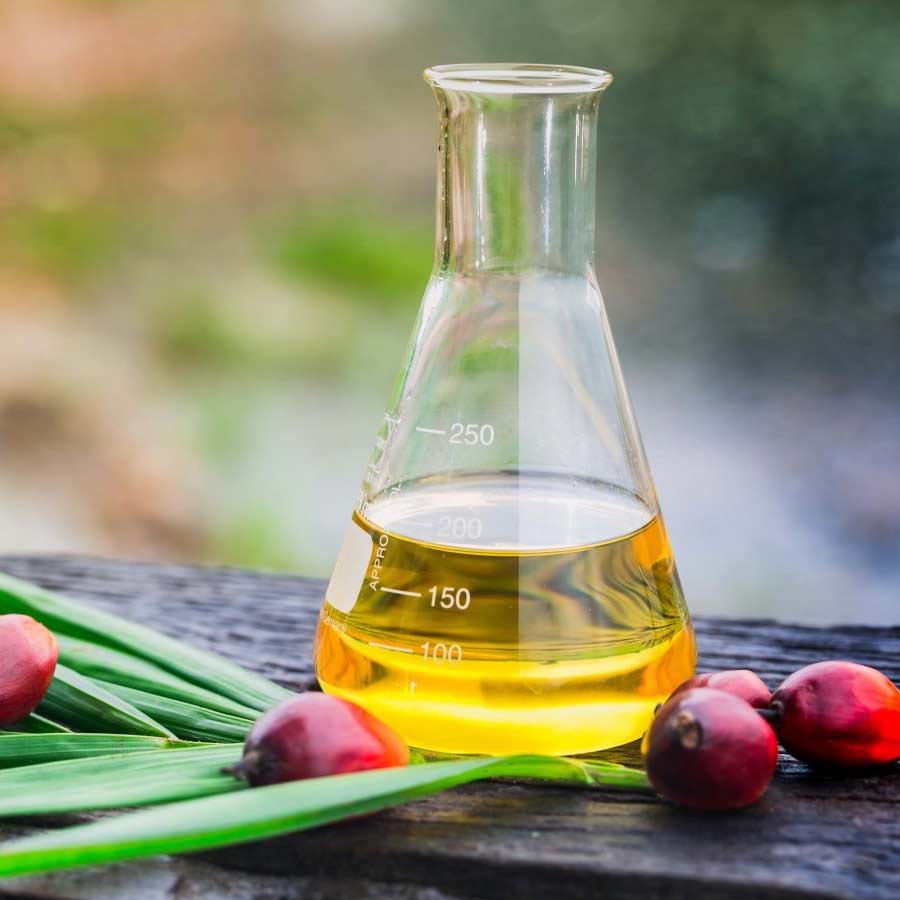 Oil palm farming expansion is a double-edged sword for presents of Telangana, know the reasons