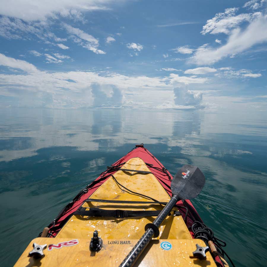 US President Donald Trump wants African minerals through DRC and Rwanda peace deal, say sources