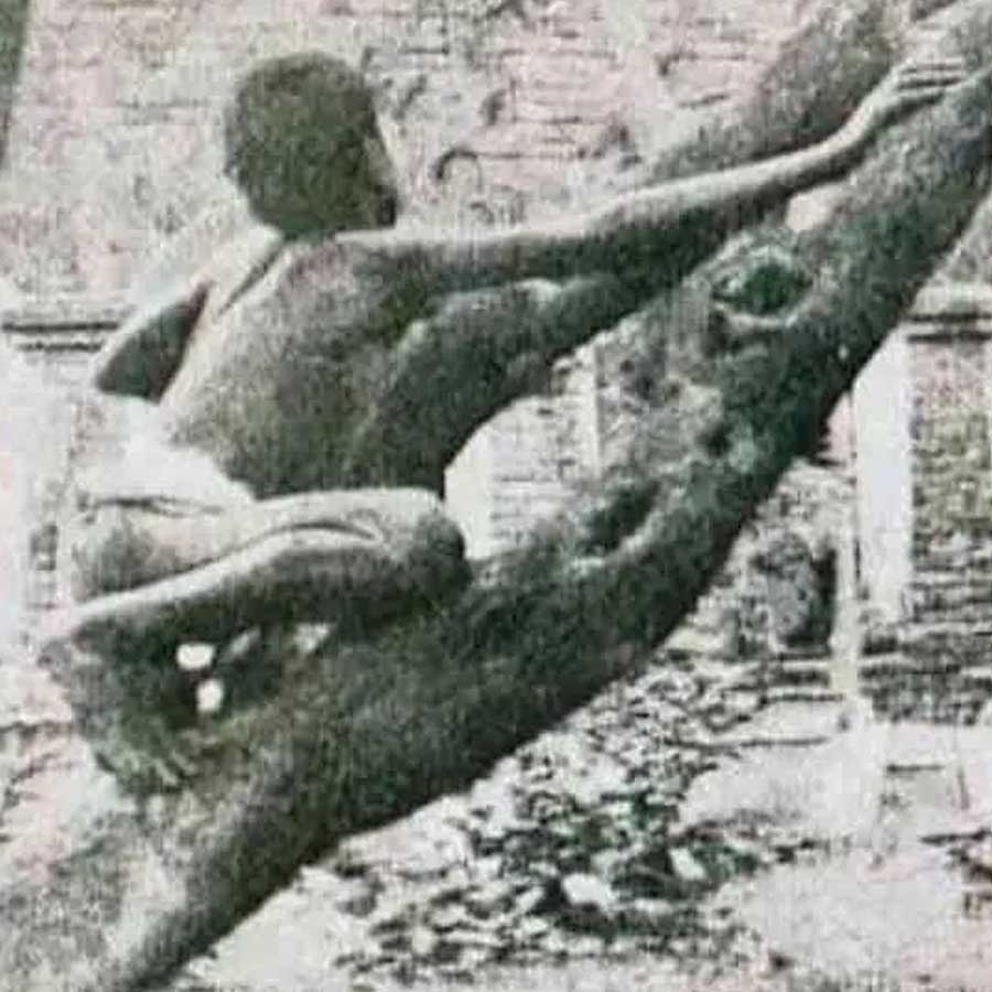 Thailand boy who neglected by family raised with six dogs and communicates through barking