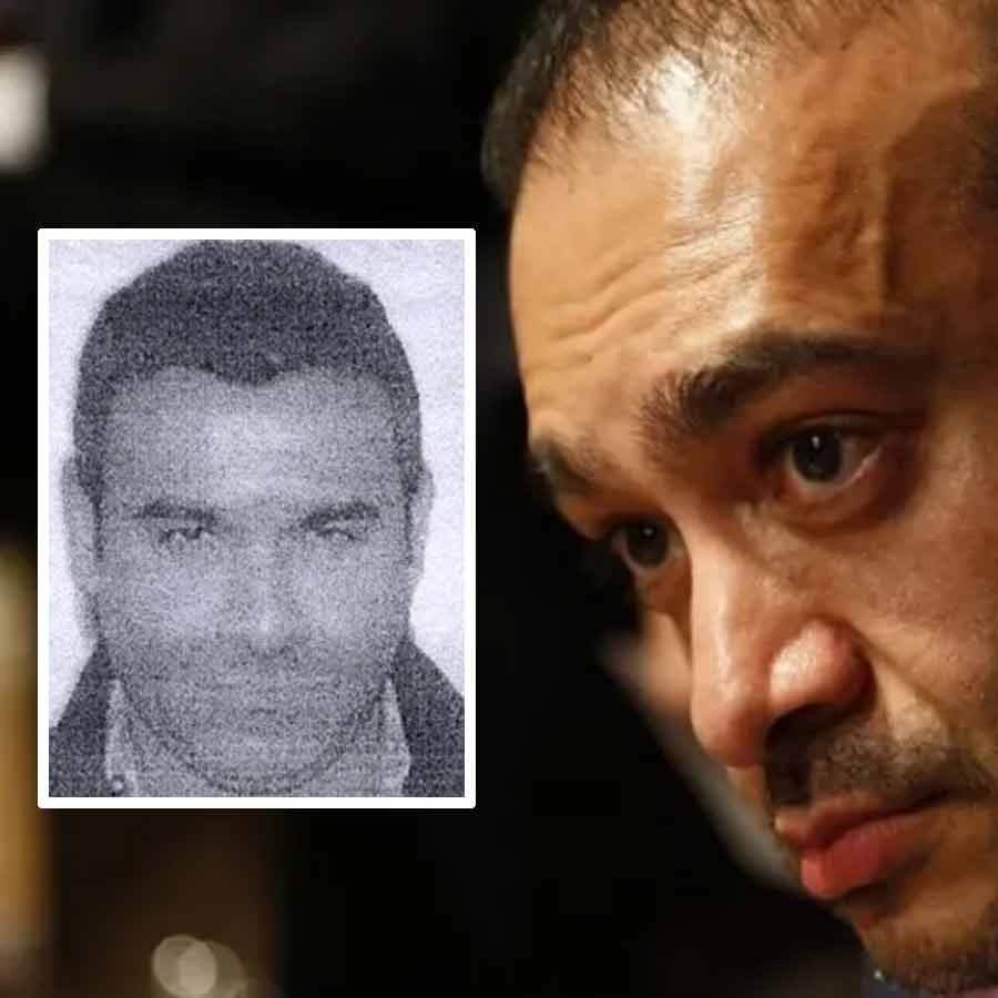 Nehal Modi brother of Nirav Modi arrested in USA dgtl
