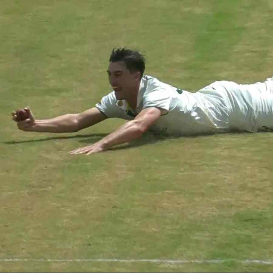 cricket