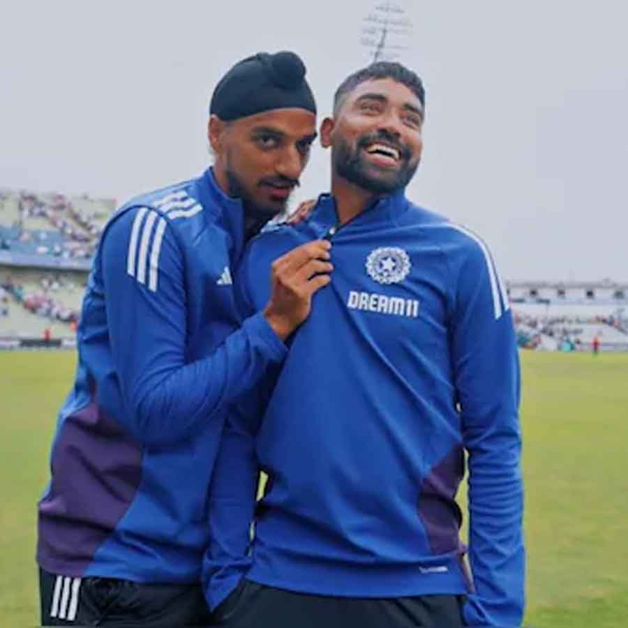 cricket