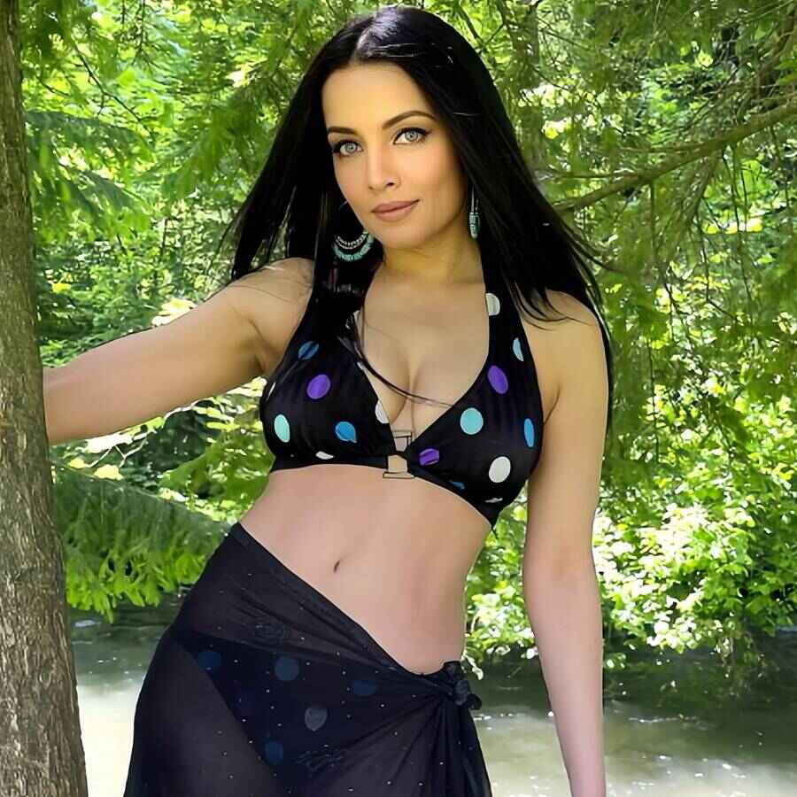 Is Celina Jaitly To Make Her Bollywood Comeback After 14 Years dgtl