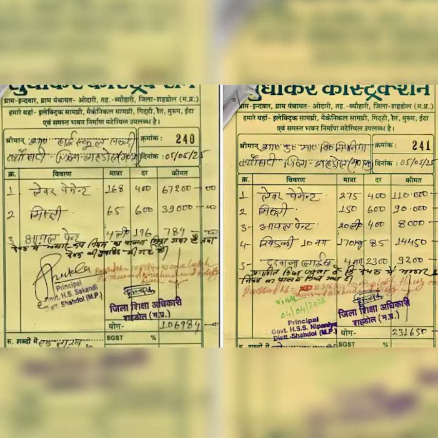 Madhya Pradesh School\\\'s Painting \\\'Miracle\\\': 233 People Used 4 Litres Of Paint On One Wall, 425 Workers For 10 Windows, 4 Doors