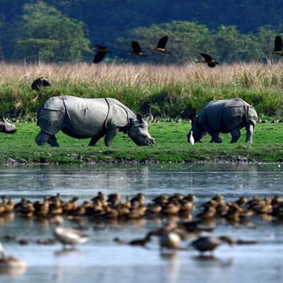 Explore 3 Offbeat places near Guwahati dgtl