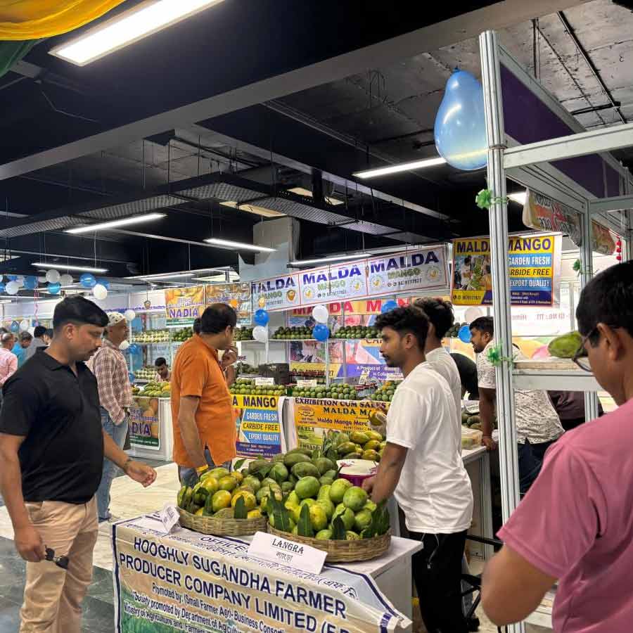 New Delhi Municipal Council organized 2 day Mango Festival in Delhi