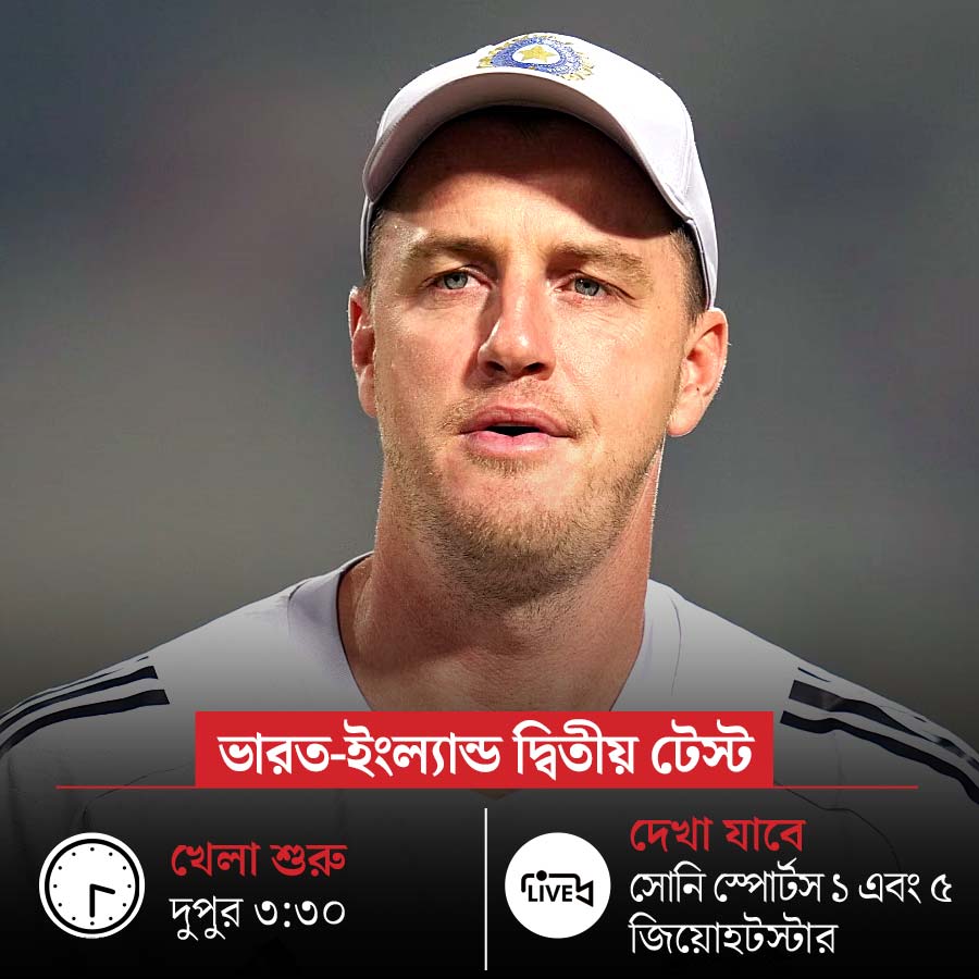 picture of cricket