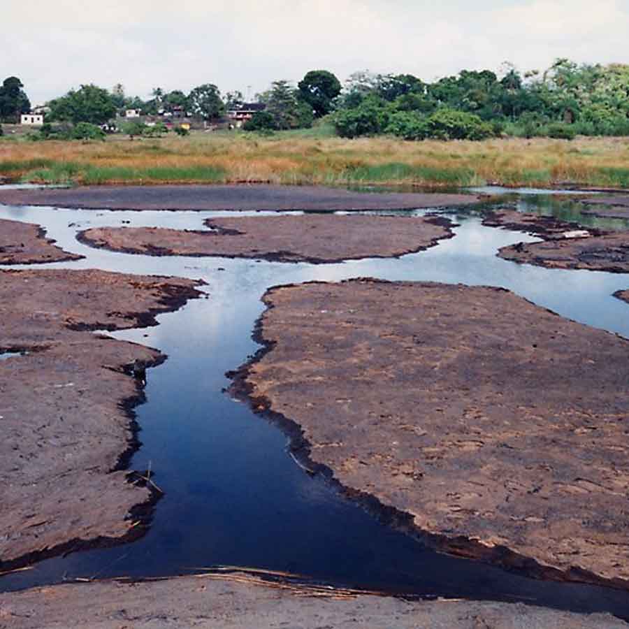 ত্রিনিদাদ ও টোবাগোর একটি প্রাকৃতিক অ্যাসফল্ট হ্রদ হল লা ব্রিয়া পিচ হ্রদ। এই হ্রদটি ত্রিনিদাদ দ্বীপের দক্ষিণ-পশ্চিম উপকূলে লা ব্রিয়া শহরে অবস্থিত। এটি প্রায় ১০০ একর এলাকা জুড়ে বিস্তৃত এবং প্রায় ২৫০ ফুট গভীর।