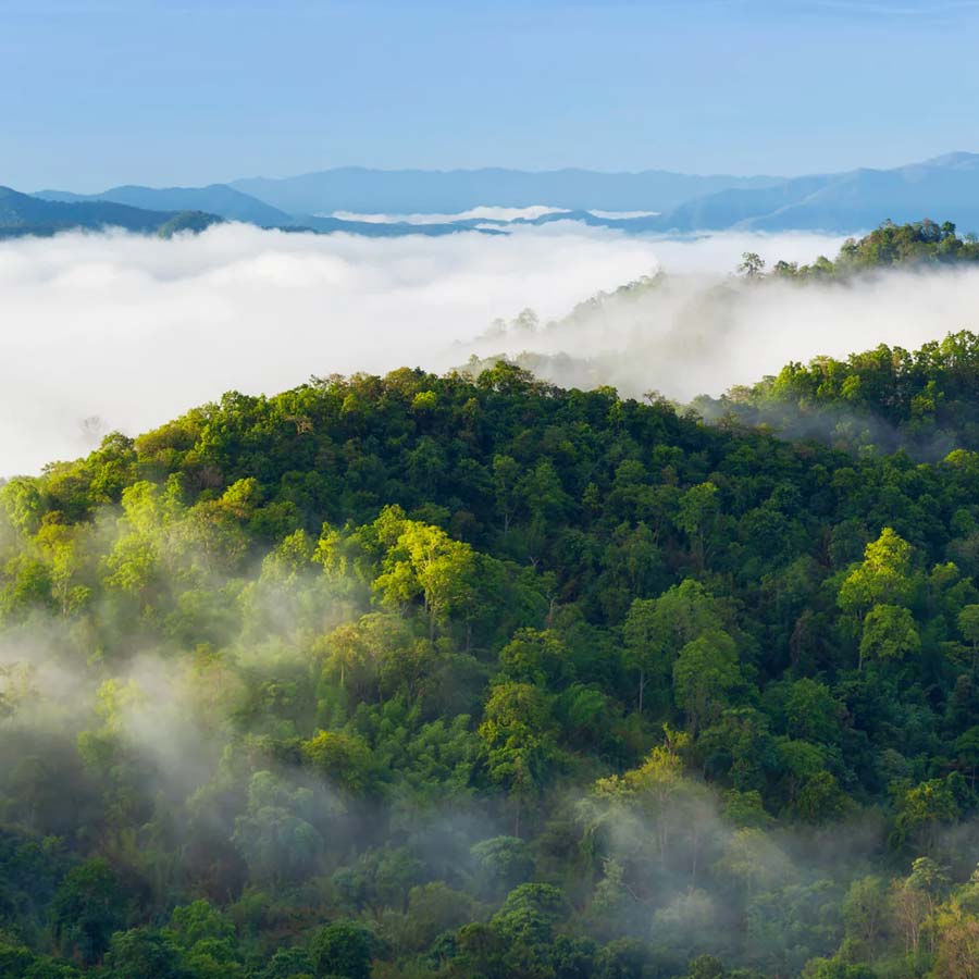 All need to know about Chris McCandless, American youth who left family for adventure and died in 24 