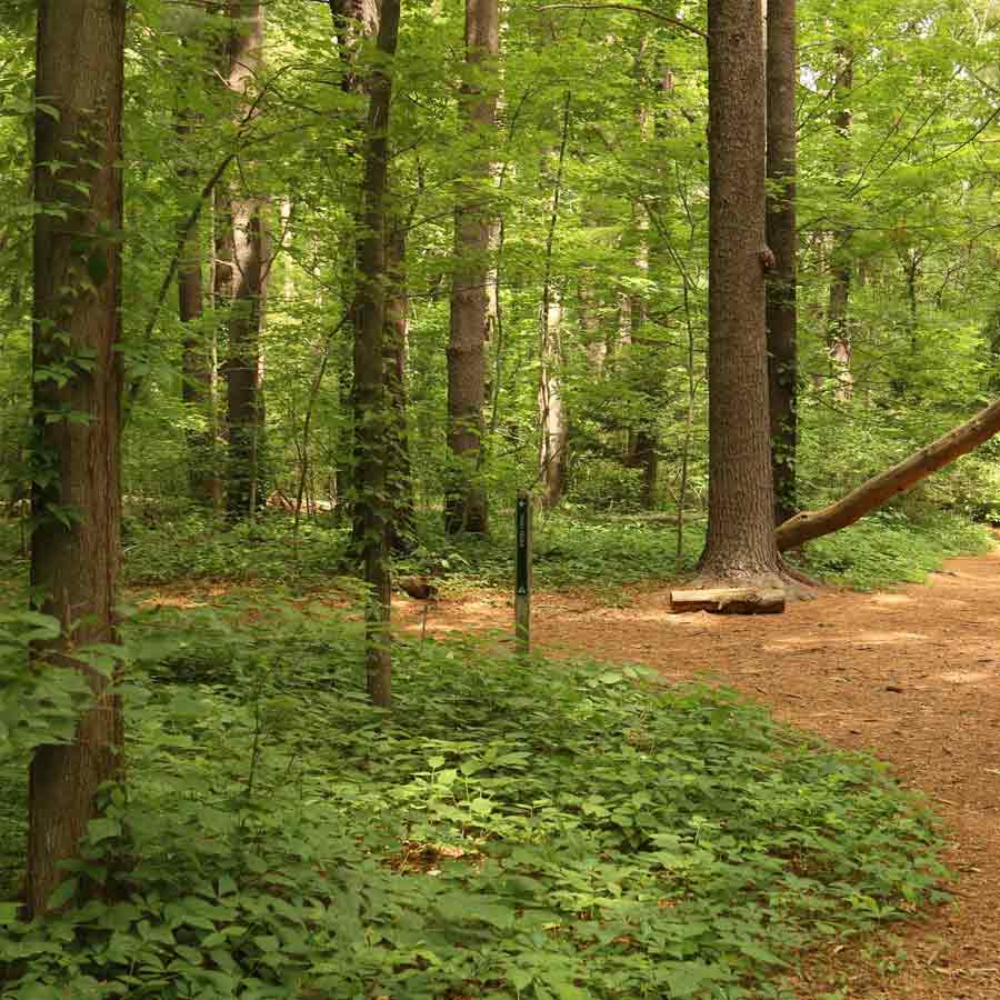 All need to know about Chris McCandless, American youth who left family for adventure and died in 24 