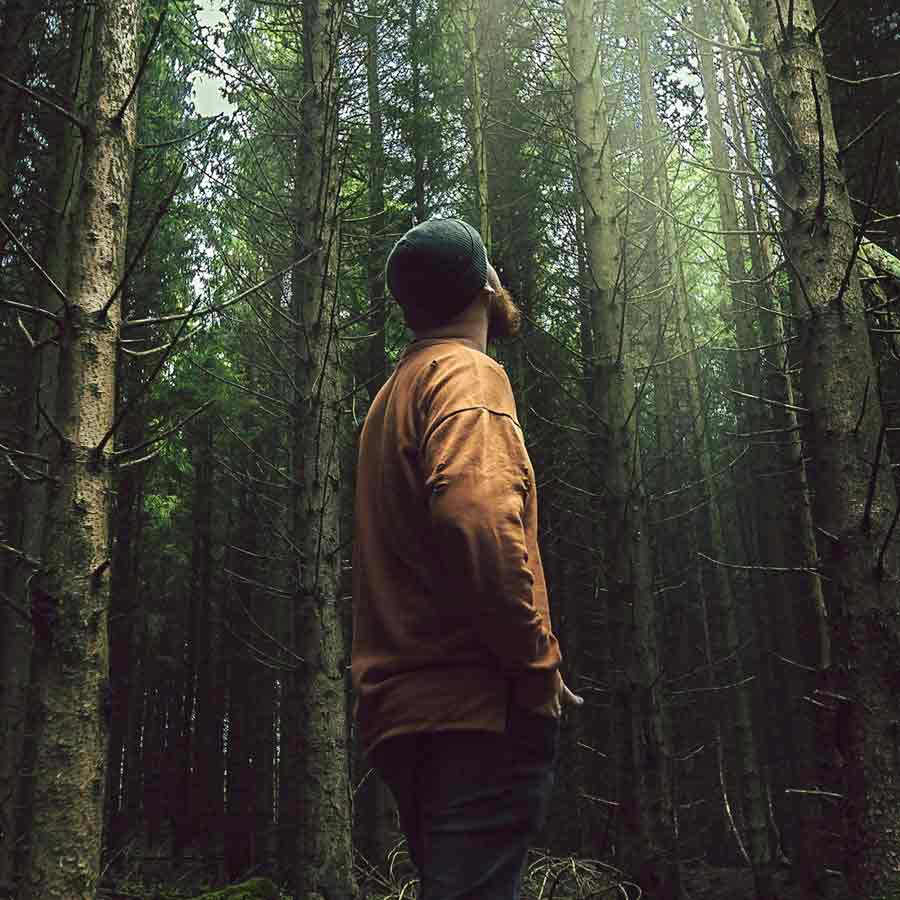 All need to know about Chris McCandless, American youth who left family for adventure and died in 24 