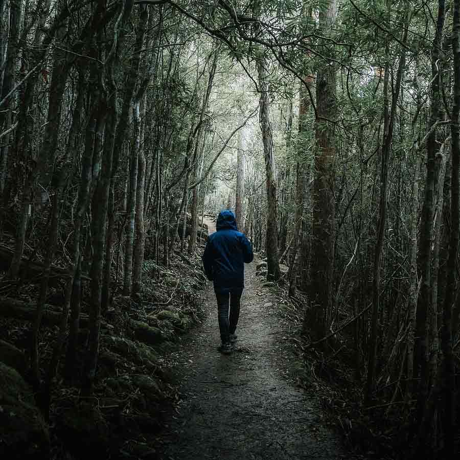 All need to know about Chris McCandless, American youth who left family for adventure and died in 24 